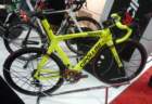 cipollini_1_small.jpg