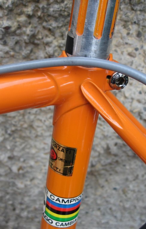 closeup.jpg