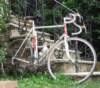 icantrememberwhichbikeeachrode_small.jpg