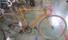 wolsitbikesideview_small.jpg