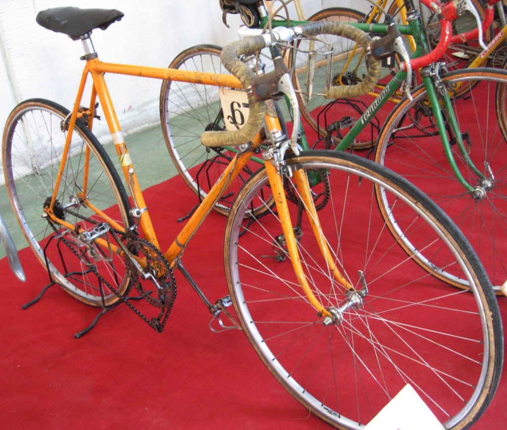 bartali1950c.jpg