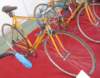bartali1951full_small.jpg