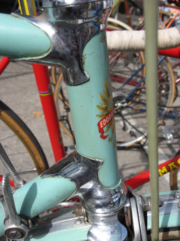 bianchiheadlugs.jpg