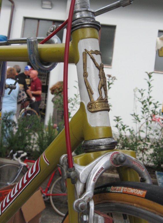headbadge.jpg