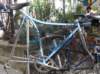 moserfunnybike_small.jpg