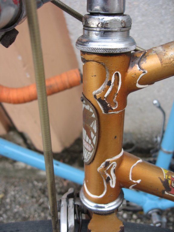 polishbikesheadlugs.jpg