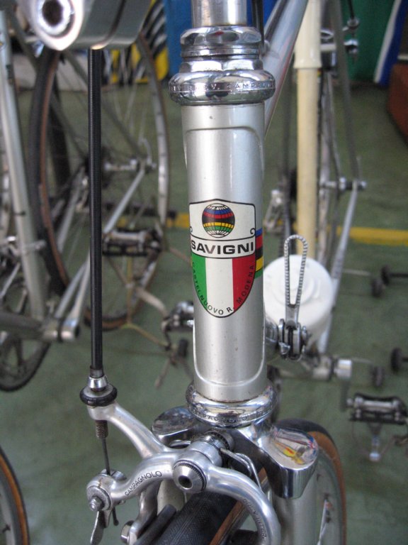 savignibikeheadbadge.jpg
