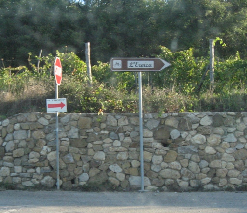 signspointtheway.jpg