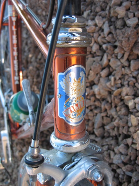 wilierheadbadge.jpg