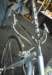 cherubim_54_small.jpg