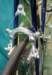 velocolour_11_small.jpg