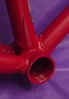 Bigred_2.jpg (48112 bytes)