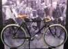 pashley_1_small.jpg